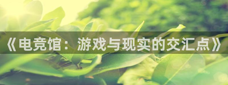 乐竞电竞实训中心收费标准