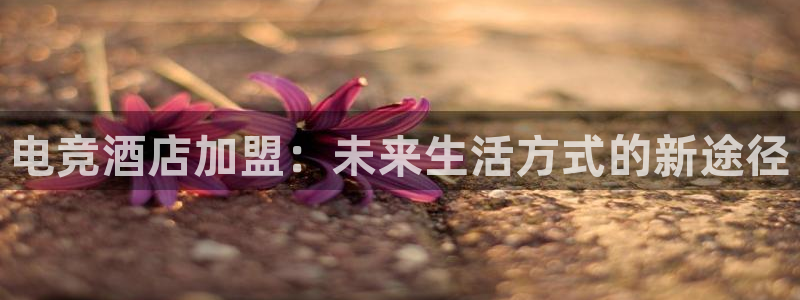 乐竞电竞app官方入口下载